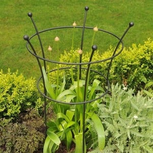 Harrod Trumpet Peony Plant Support Matt Black